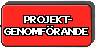 Projektgenomf�rande